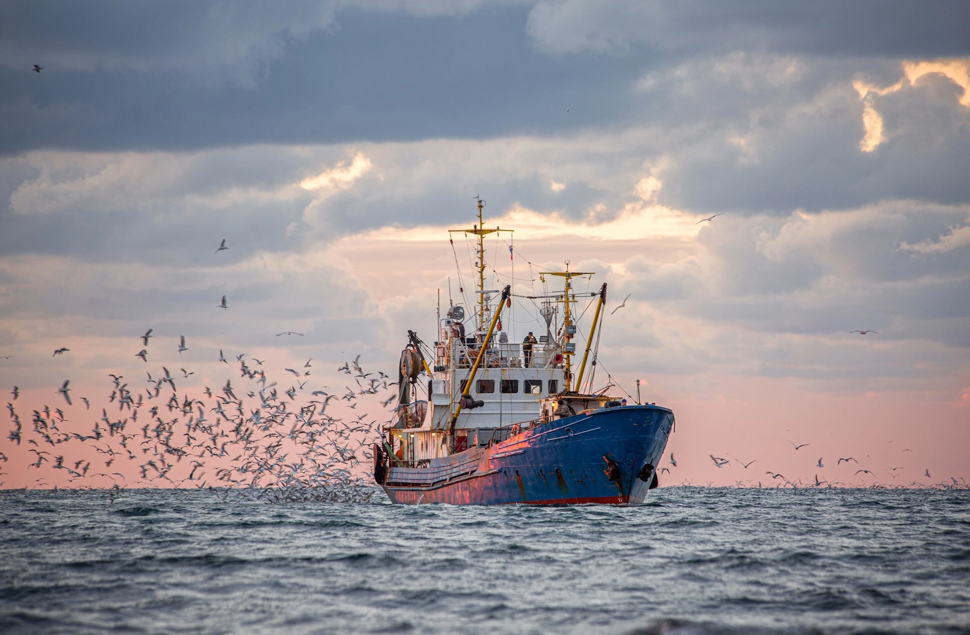 Fishing trawler out at sea surrounded by seagulls